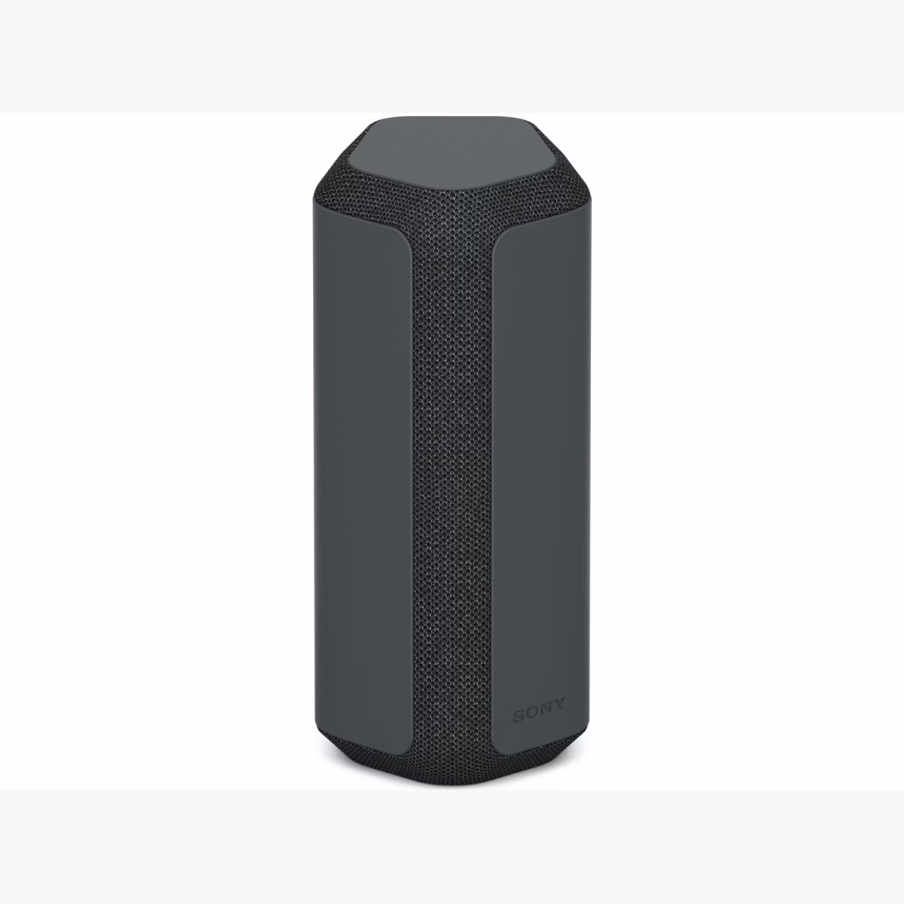 Sony SRS-XE300
