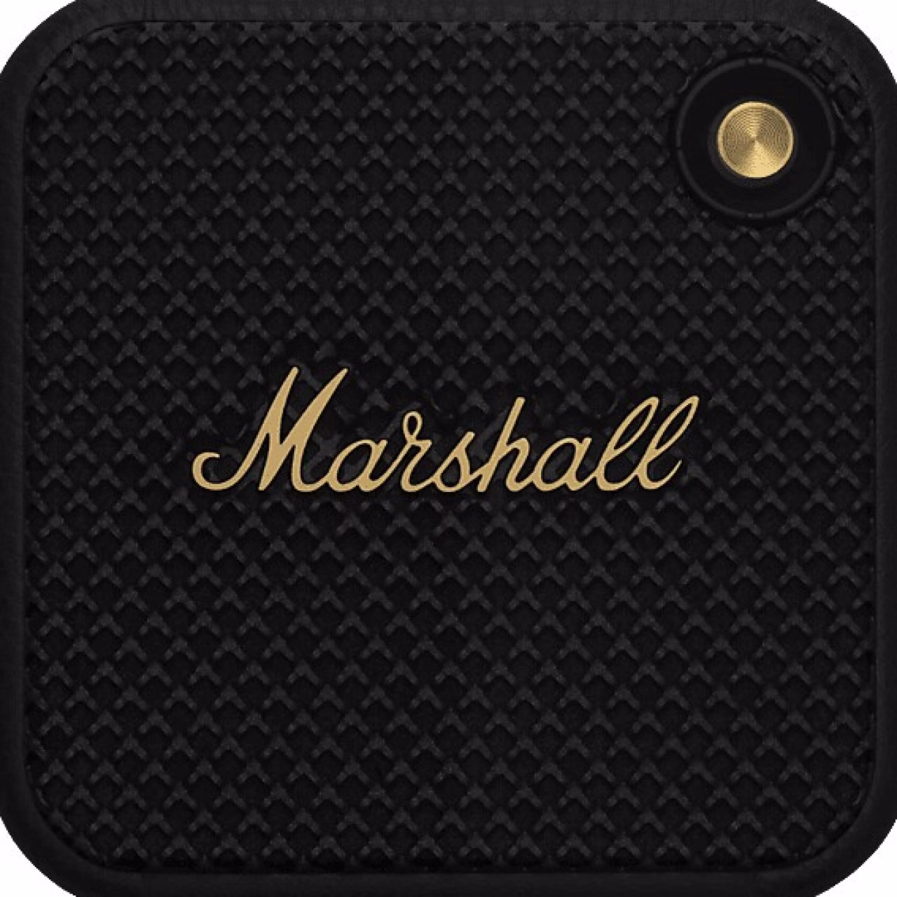 Marshall Willen