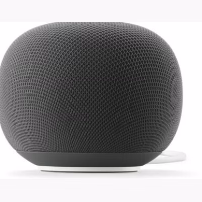 Google Home Speaker