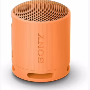 Sony SRS-XB100