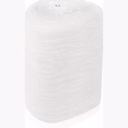 Bluesound PULSE FLEX P130