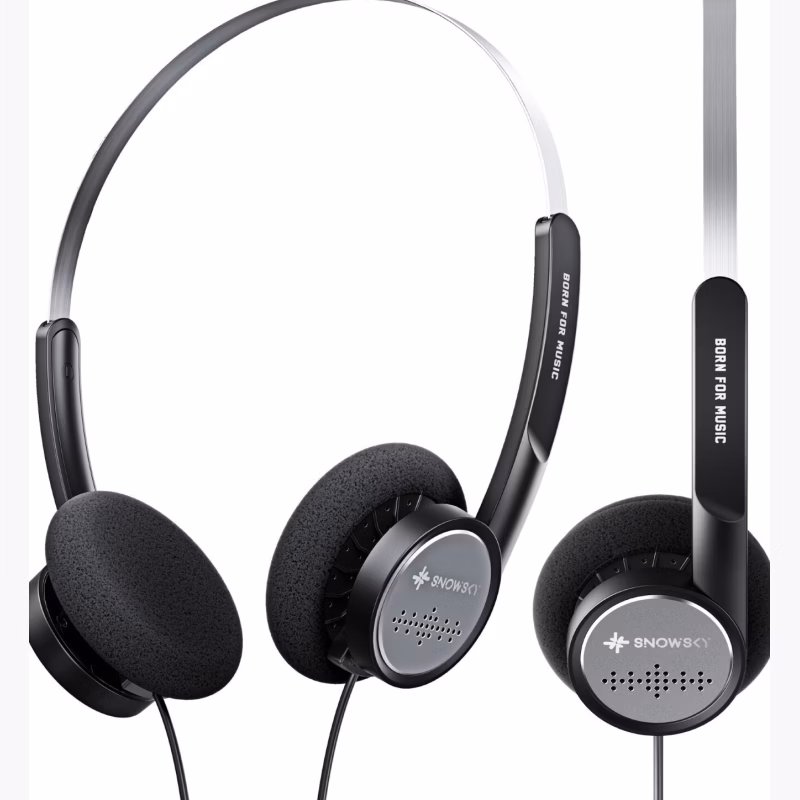 FiiO Snowsky Wind