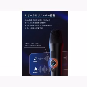Soundcore Rave 3S A31A3012