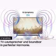 Samsung HW-S810GD/ZG
