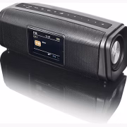 Peaq PPA 460
