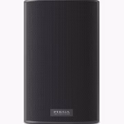 Piega Ace 30 Wireless