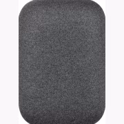 Google Nest Audio