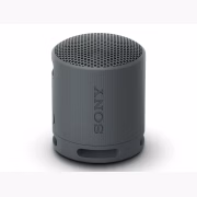 Sony SRS-XB100