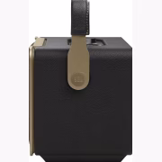 JBL Authentics 300