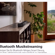 Denon DHT-S517