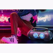 W-KING D10