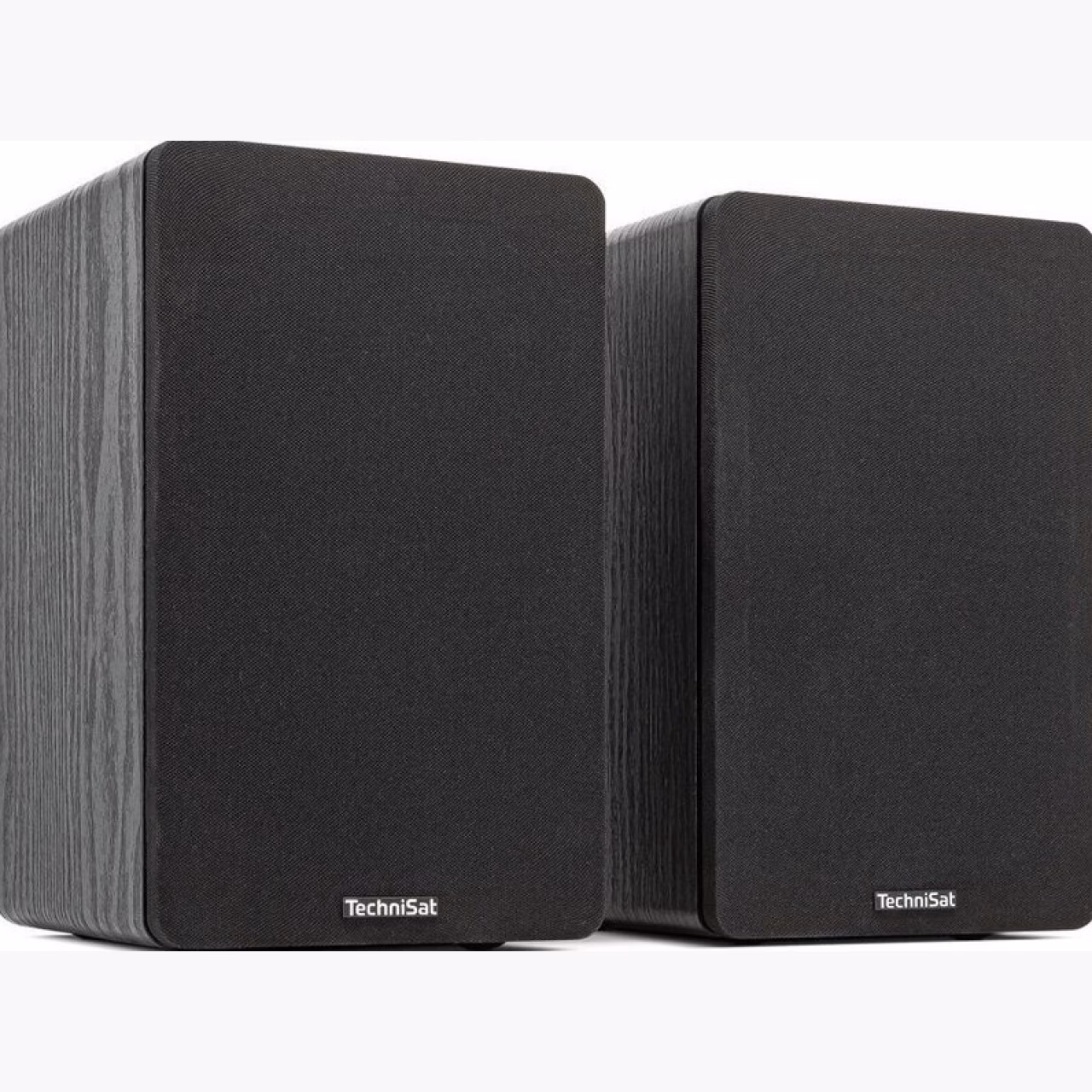 TechniSat AUDIOMASTER RLS 1