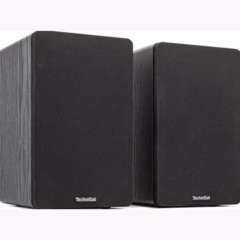 TechniSat AUDIOMASTER RLS 1