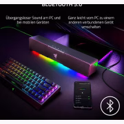 Razer Leviathan V2 X