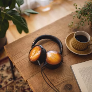 Audio Technica ATH-WP900