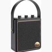 Peaq ICONIC Vibe 5 PPA 540-RW Robbie Williams