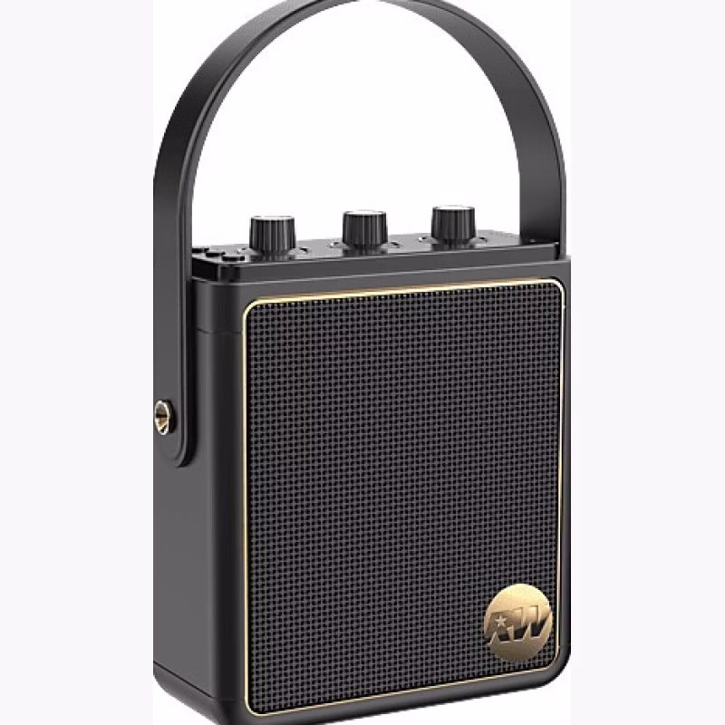 Peaq ICONIC Vibe 5 PPA 540-RW Robbie Williams