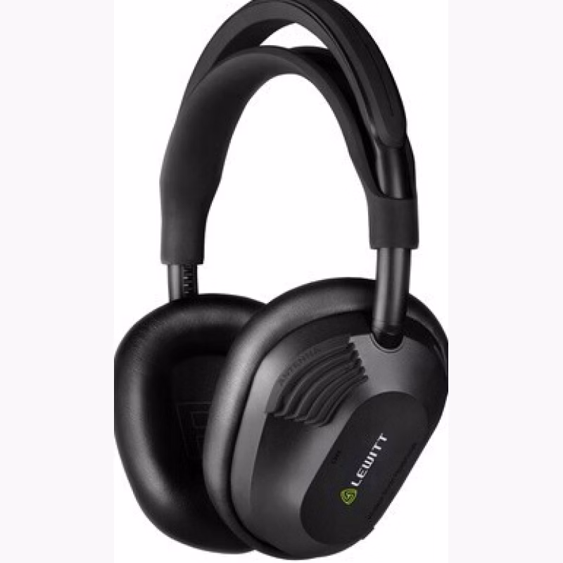 Lewitt LW6