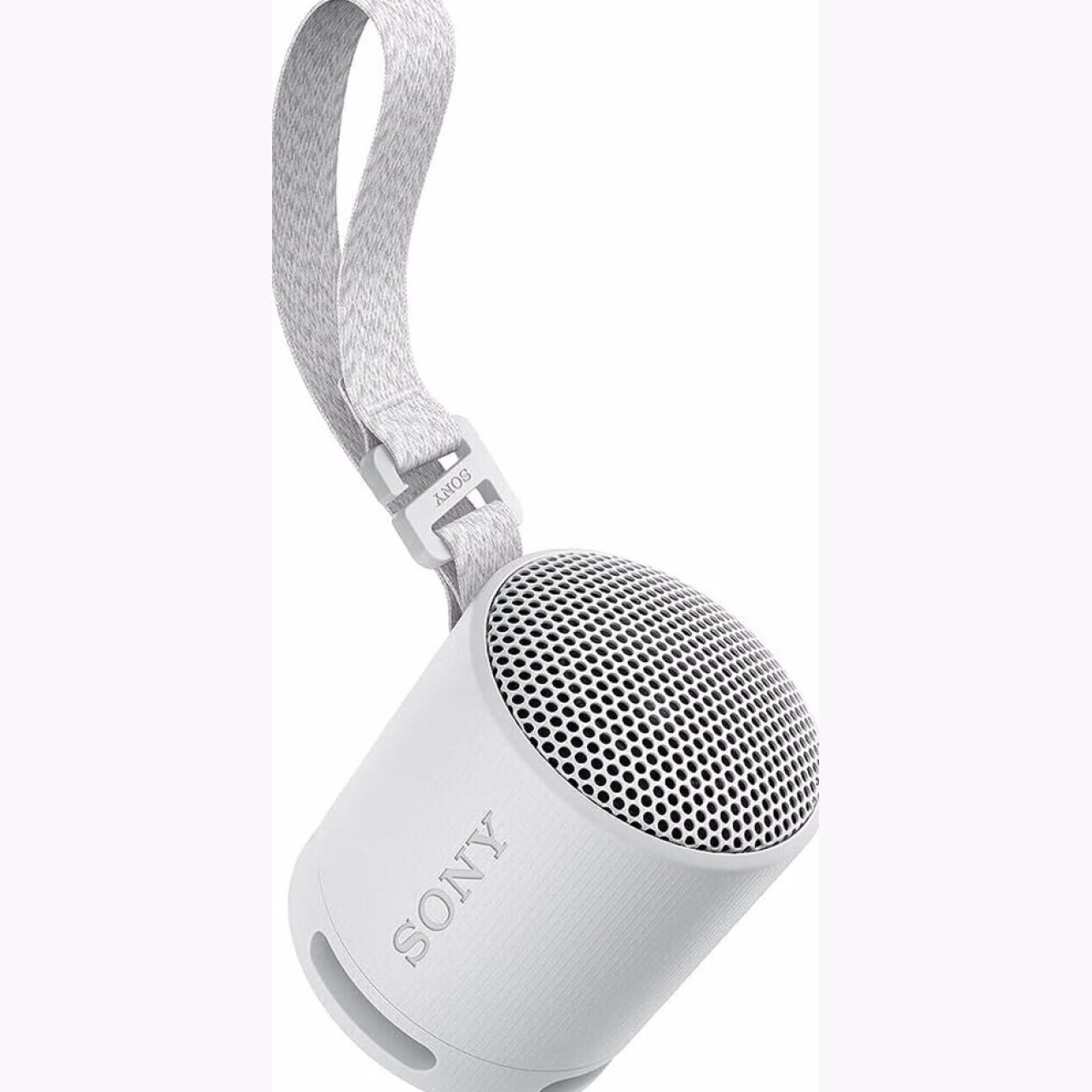 Sony SRS-XB100