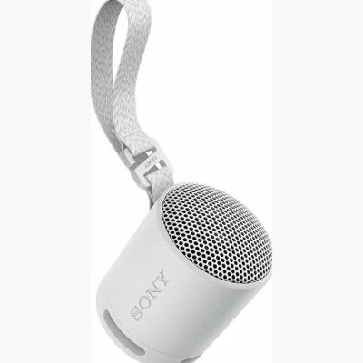 Sony SRS-XB100