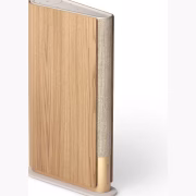 Bang & Olufsen Beosound Emerge