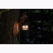 PURE Woodland Glow