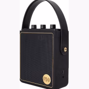 Peaq ICONIC Vibe 5 PPA 540-RW Robbie Williams