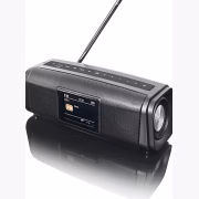 Peaq PPA 460