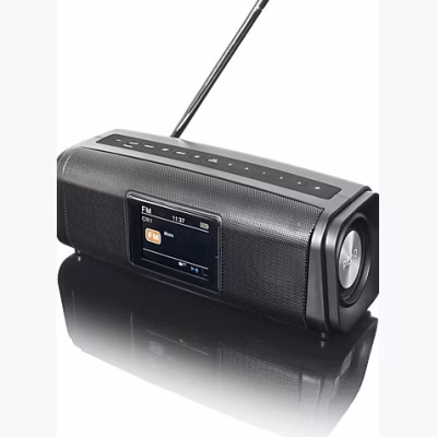 Peaq PPA 460