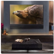 LG USG10TY 3 1Ch Subwoofer in
