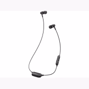 radius Ne HP-R100BT