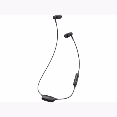 radius Ne HP-R100BT