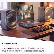 TechniSat AUDIOMASTER RLS 1