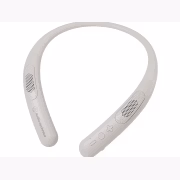 Audio Technica AT-NSP300BT