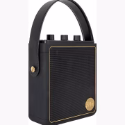 Peaq ICONIC Vibe 5 PPA 540-RW Robbie Williams